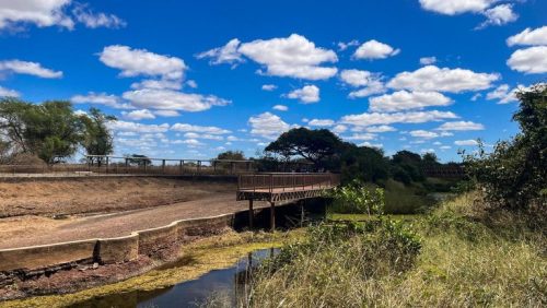 WhatsApp-Image-2025-10-15-at-18.01.45