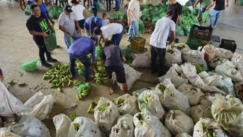distribuição de feiras