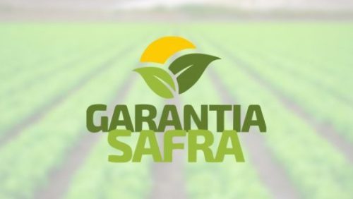 garantia safra