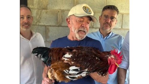 lula e a galinha